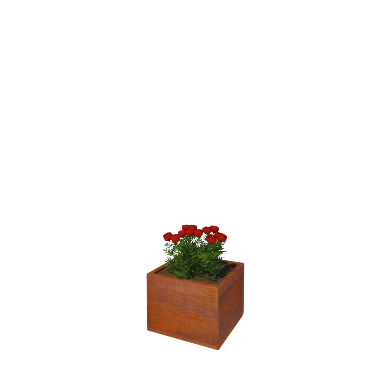 Cortenstaal plantenbak Nova 40 x 40 cm - Afbeelding 1